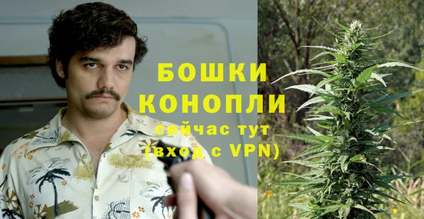спайс Арсеньев