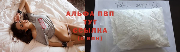 спайс Арсеньев